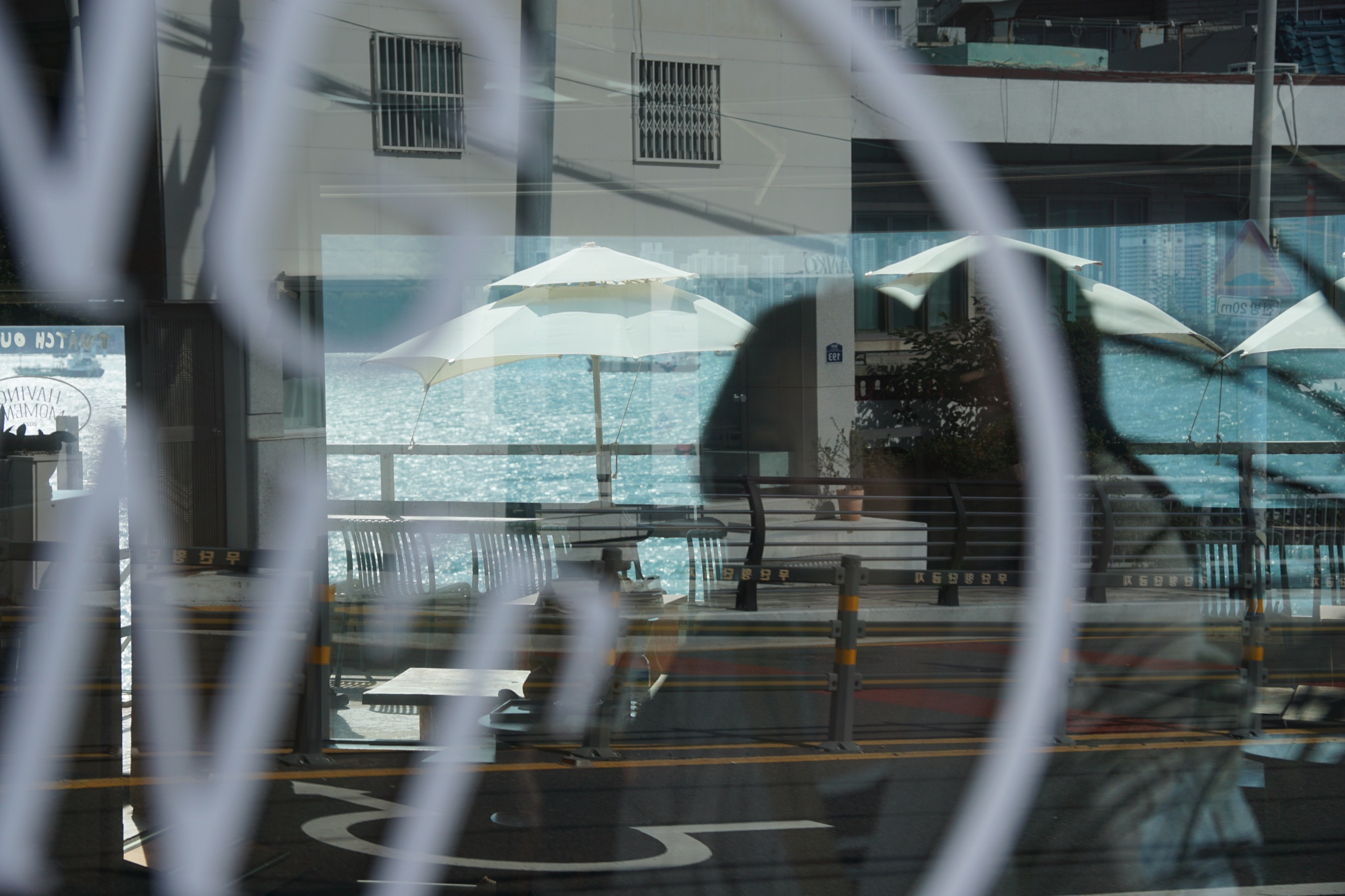 Los Angeles photography by my yuxi